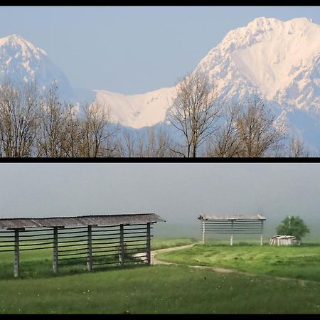 Mamut Stay Kamnik Buitenkant foto