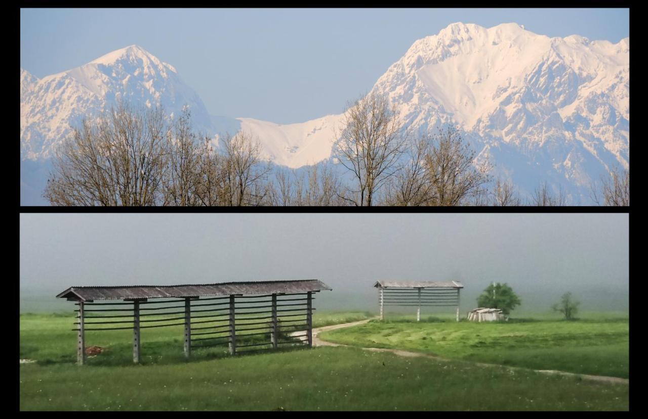 Mamut Stay Kamnik Buitenkant foto